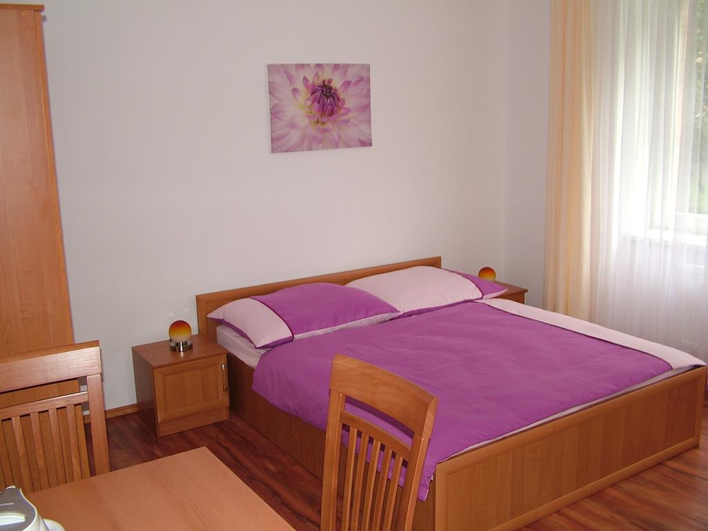 Penzion Rafael Poděbrady Kamer foto